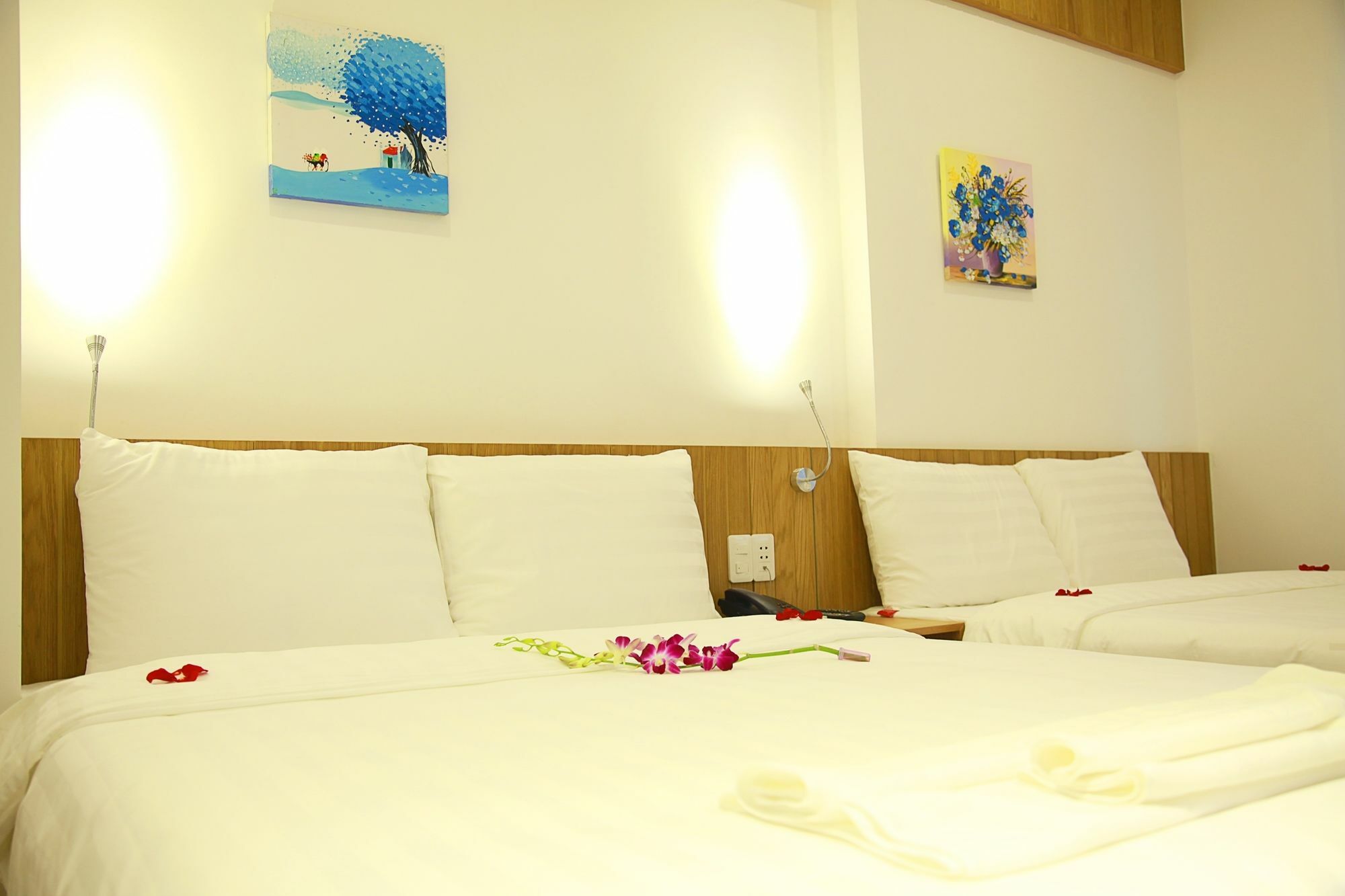 Meraki Hotel Da Nang Zewnętrze zdjęcie